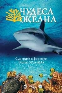 Чудеса океана 3D (фильм 2003) онлайн