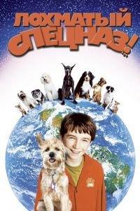 Лохматый спецназ (фильм 2003) онлайн