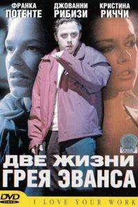 Две жизни Грея Эванса (фильм 2003) онлайн