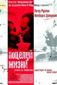 Поцелуй жизни (фильм 2003) онлайн
