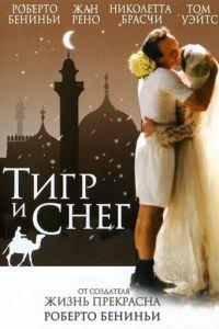 Тигр и снег (фильм 2005) онлайн