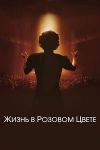 Жизнь в розовом цвете (фильм 2007) онлайн