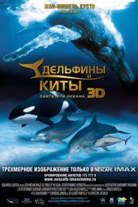 Дельфины и киты 3D (фильм 2008) онлайн