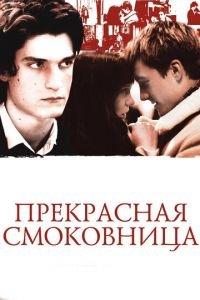 Прекрасная смоковница (фильм 2008) онлайн