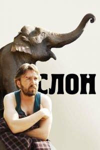 Слон (фильм 2010) онлайн