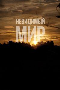 Невидимый мир (фильм 2012) онлайн