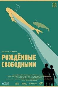 Рожденные свободными (фильм 2016) онлайн