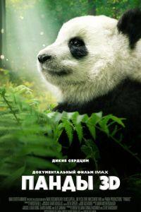 Панды 3D (фильм 2018) онлайн