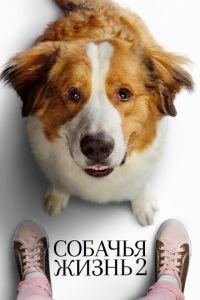 Собачья жизнь 2 (фильм 2019) онлайн