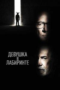 Девушка в лабиринте (фильм 2019) онлайн