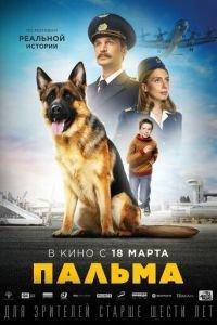 Пальма (фильм 2021) онлайн