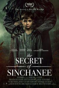 Тайна Синчани (фильм 2021) онлайн