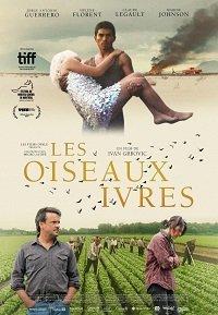 Пьяные пташки (фильм 2021) онлайн