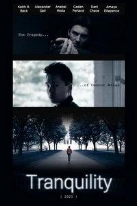 Успокоение - независимый фильм (фильм 2021) онлайн