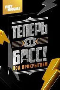 Теперь я босс. Под прикрытием (сериал) онлайн