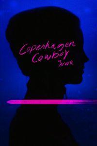 Ковбой из Копенгагена (сериал) онлайн