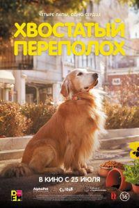Хвостатый переполох (фильм 2024)