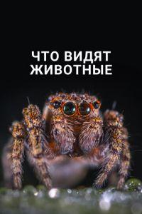 Что видят животные (фильм 2018)